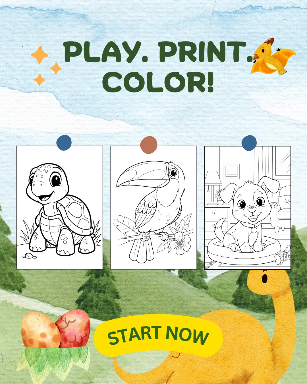 Start Coloring