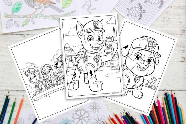  PAW Patrol Coloring Pages