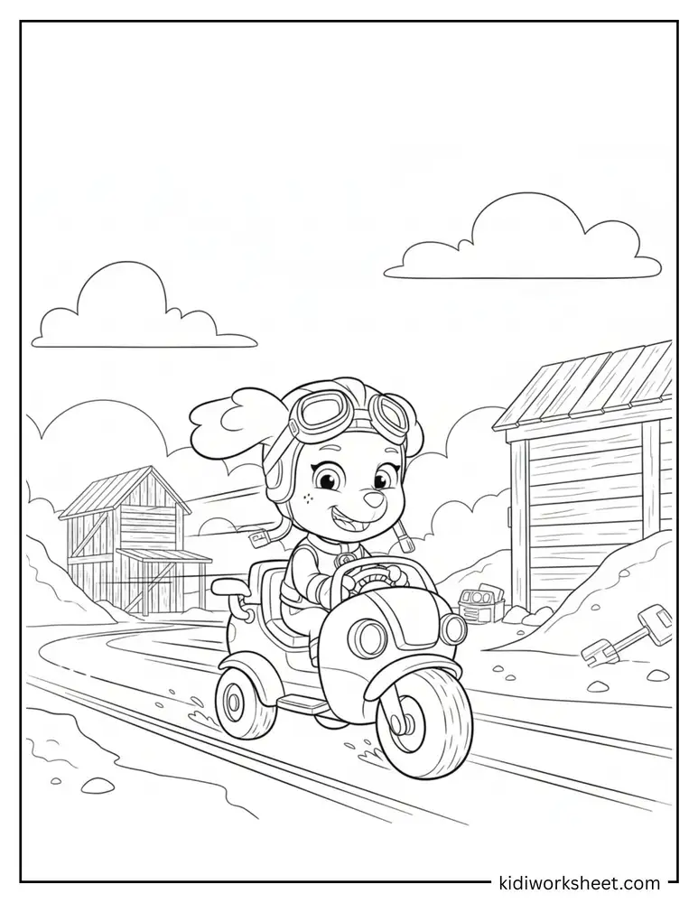 Pup driving on a dirt road